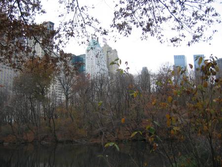 BEAUTIFUL CENTRAL PARK