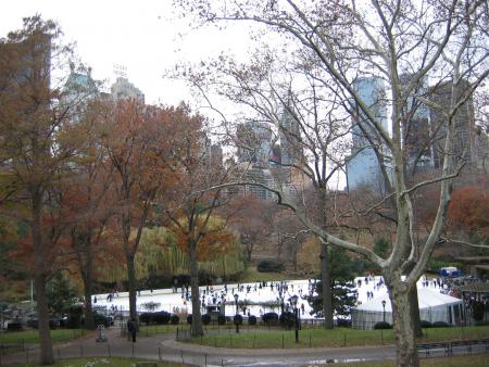 ICE-RINK IN CENTRAL PARK