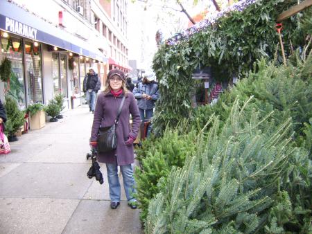 SURROUNDED WITH XMAS TREES!