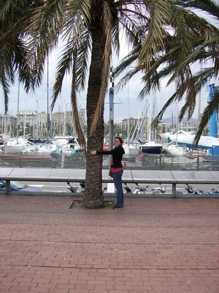 ME AND MY PALM TREE!!