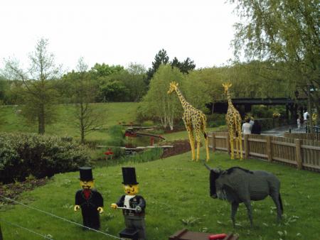 LEGO GIRAFES