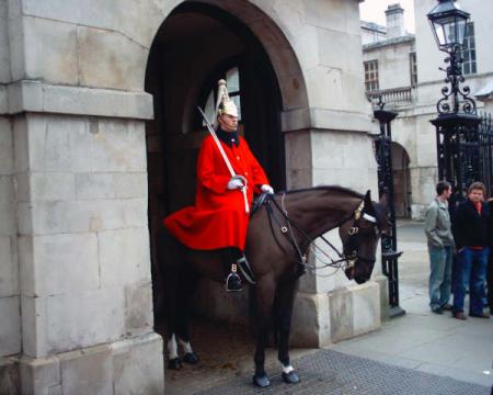 HORSEGUARD
