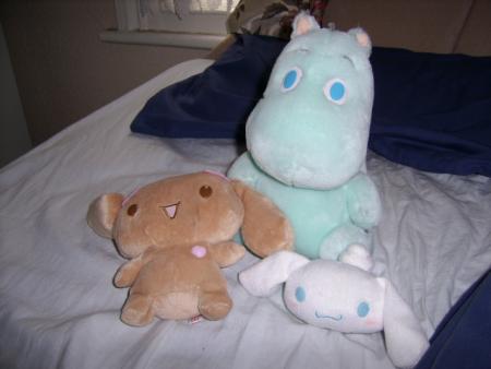 MY NEW FLATMATES
