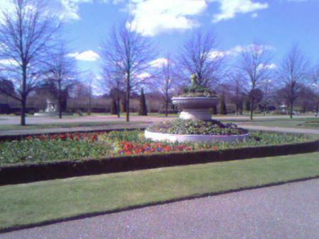 REGENT'S PARK