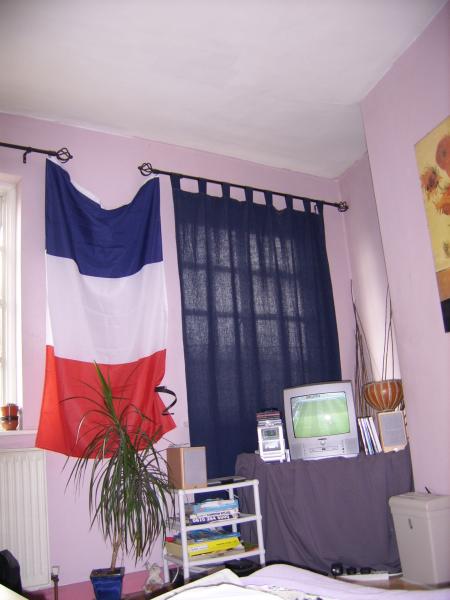 GO FRANCE!