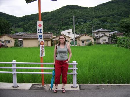 RICE PADDY