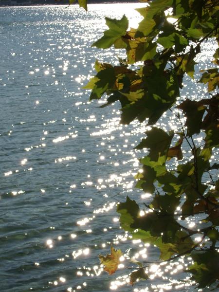 NICE REFLECTIONS