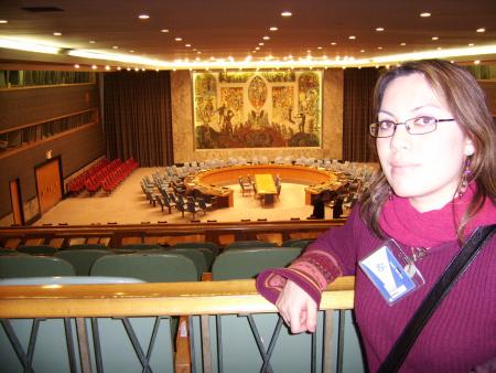 ME INSIDE THE SECURITY COUNCIL