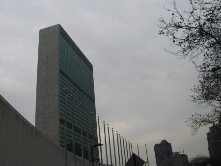 THE UNITED NATIONS
